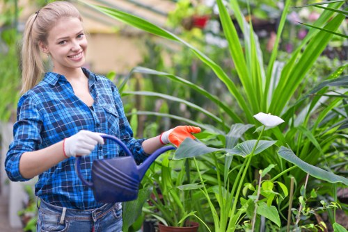 Selecting a reliable garden clearance service