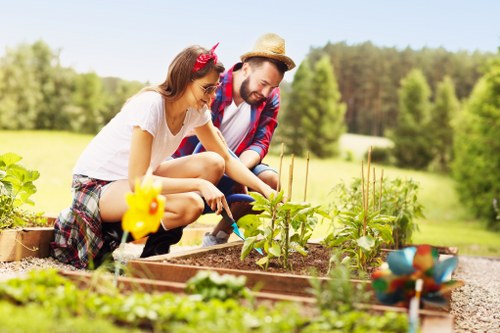 Garden clearance tools and equipment in action