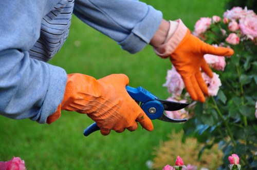 Benefits of professional tree removal services