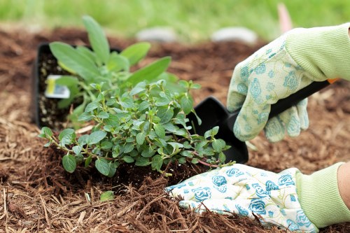 Sustainable irrigation system installation in a Golders Green garden