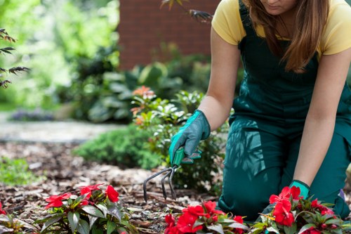 Seasonal lawn care practices