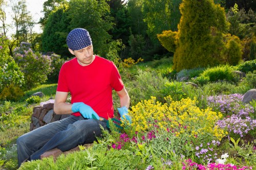 Laurel hedge trimming by skilled gardeners in Golders Green